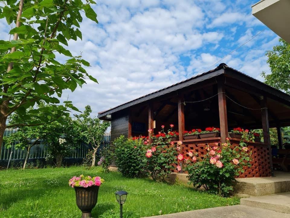 Vila Cataleya Venus Dış mekan fotoğraf