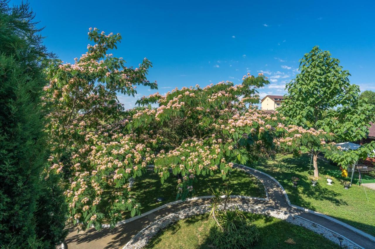 Vila Cataleya Venus Dış mekan fotoğraf